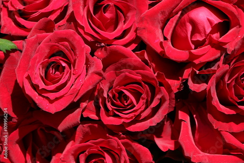 Rote Rosen als Zeichen der Liebe, Hochzeitsstrauß