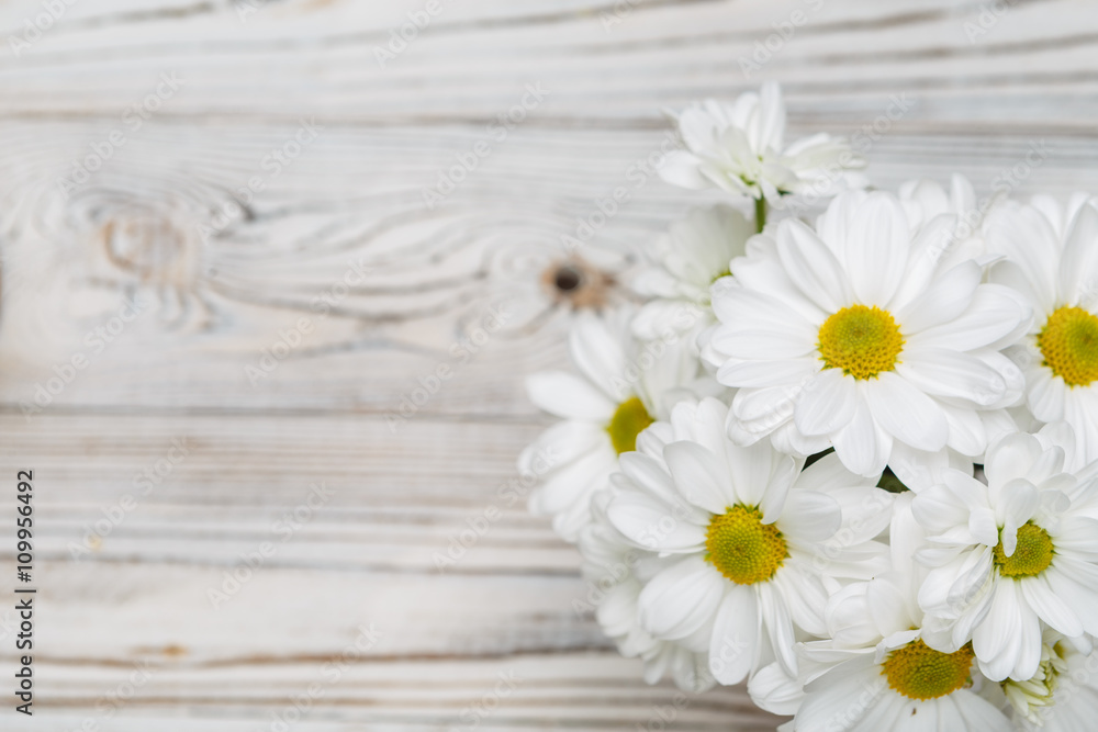 Obraz premium white flowers on wooden background