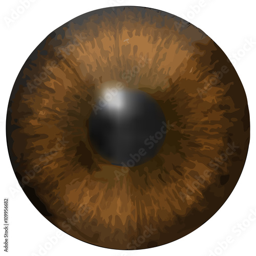 Eye iris vector texture