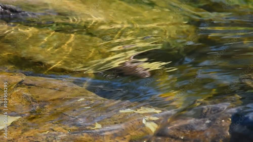 Running colorful ripples on water surface in day time Running colorful ripples on water surface in day time