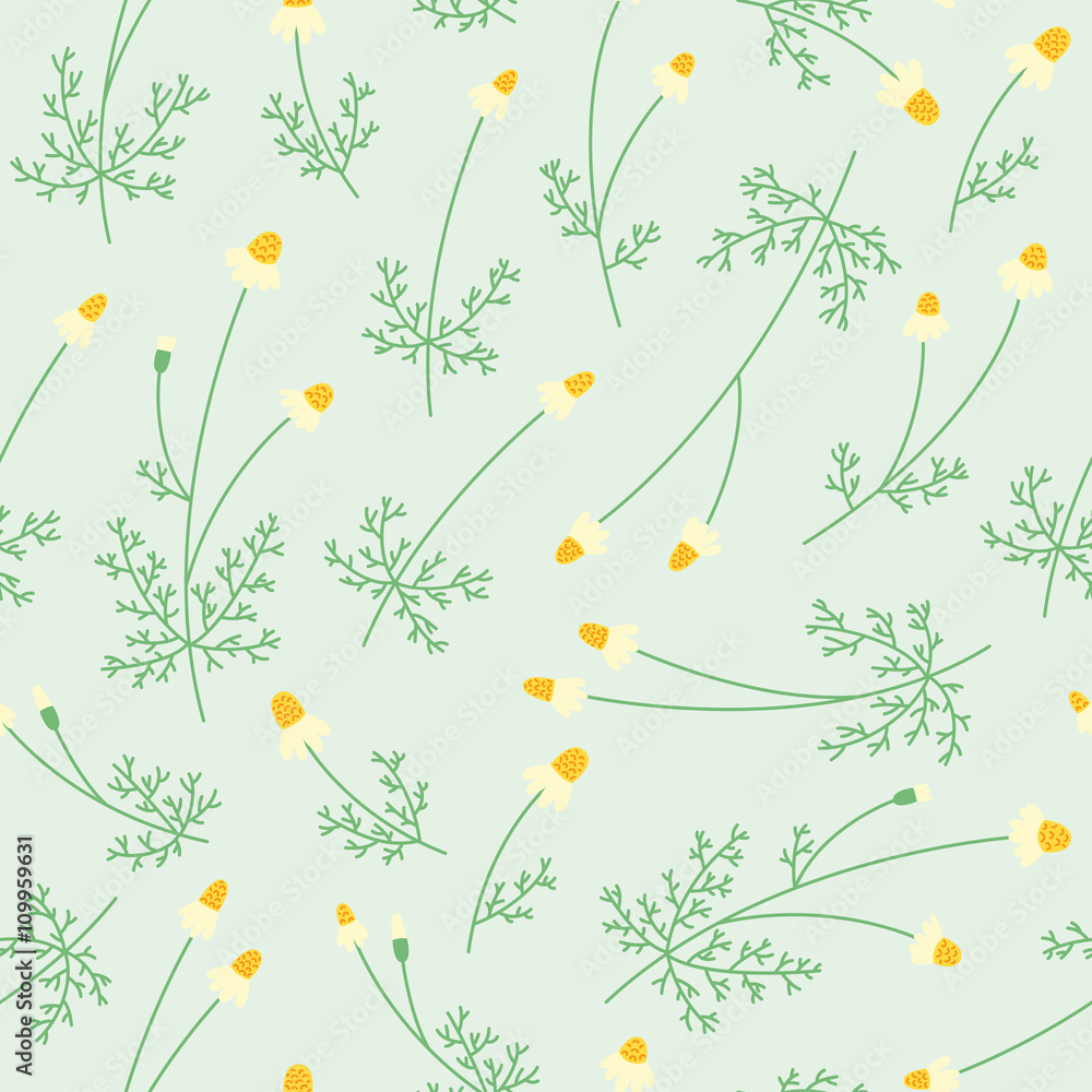 Seamless floral pattern with chamomile. Medical herbs background. Daysi flower.