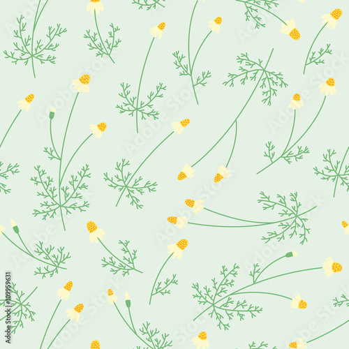 Seamless floral pattern with chamomile. Medical herbs background. Daysi flower. photo