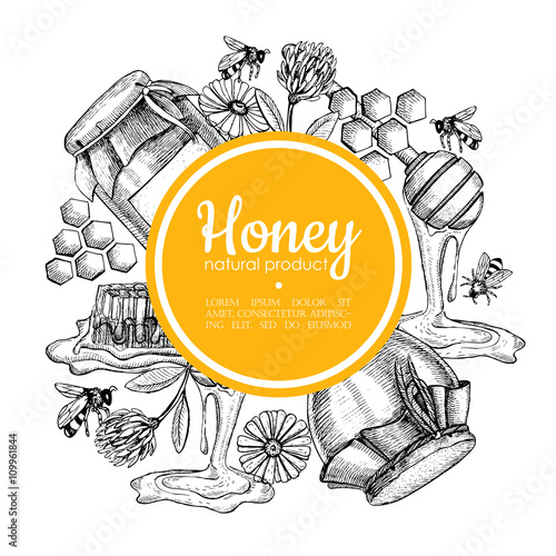 Vector hand drawn honey frame. Detailed engraved honey illustrat