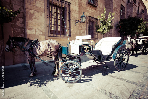 Cordoba,Spain-March 11,2015:Traditional Horse and Cart at Cordob