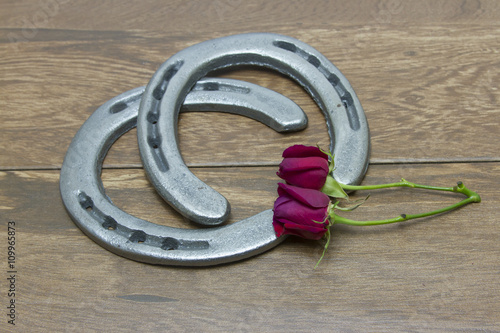 Kentucky Derby red roses with horseshoes