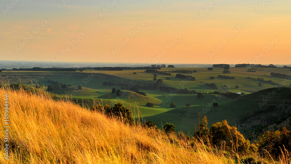 Fototapeta premium Australia Landscape : Melbourne countryside