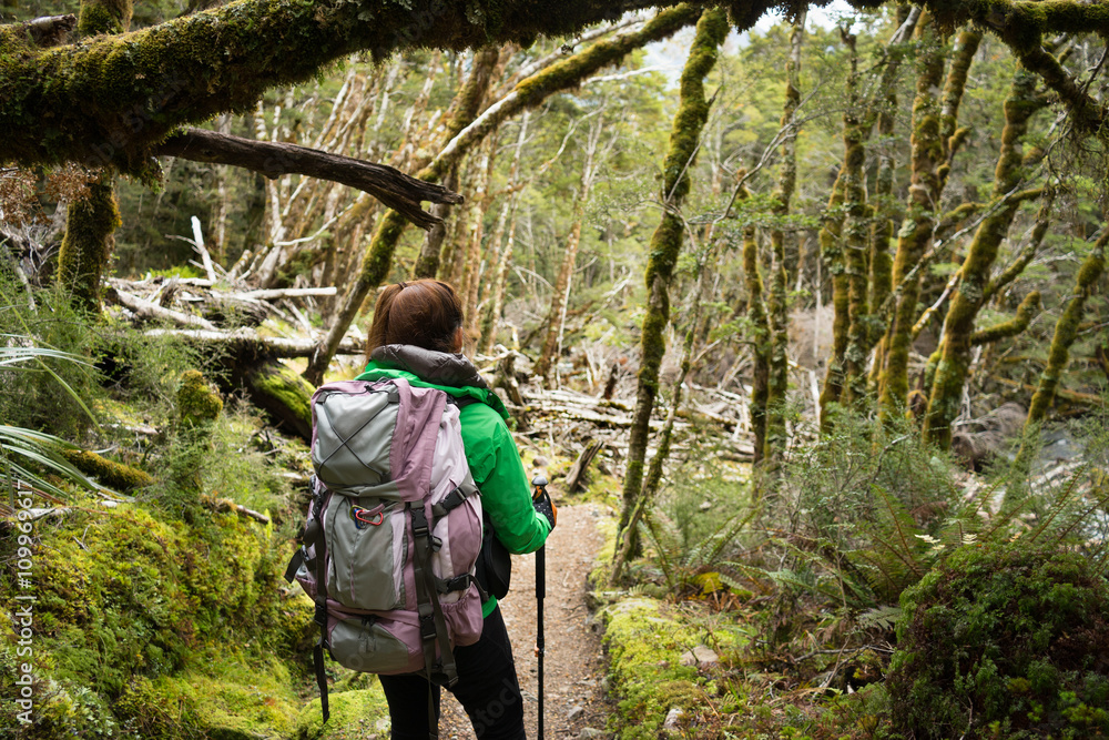 Woman hiker walking in the forest