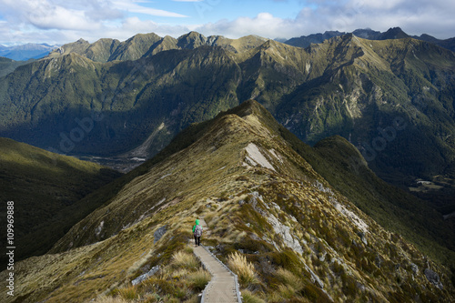 An alpine section of the Kepler Track photo