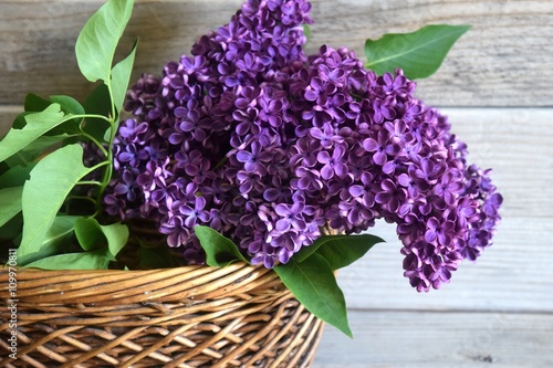 lilac in a basket