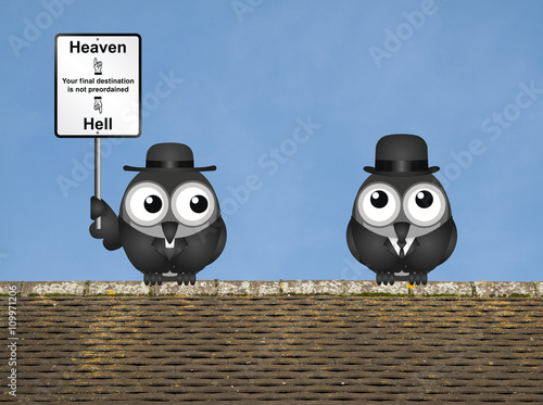 Bird vicar with destination heaven or hell  photo