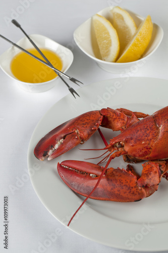delicious lobster in plate