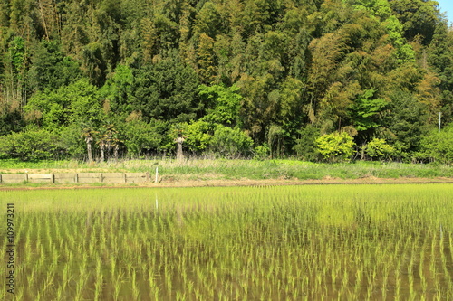 The landscape of Satoyama.The country with hills and fields, a field and a rice paddy is called Satoyama in Japan. This picture was taken in Inzai city in Chiba prefecture.