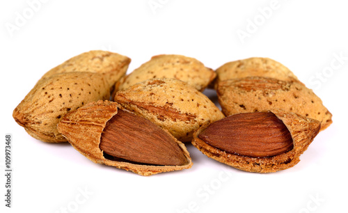 almond on white background