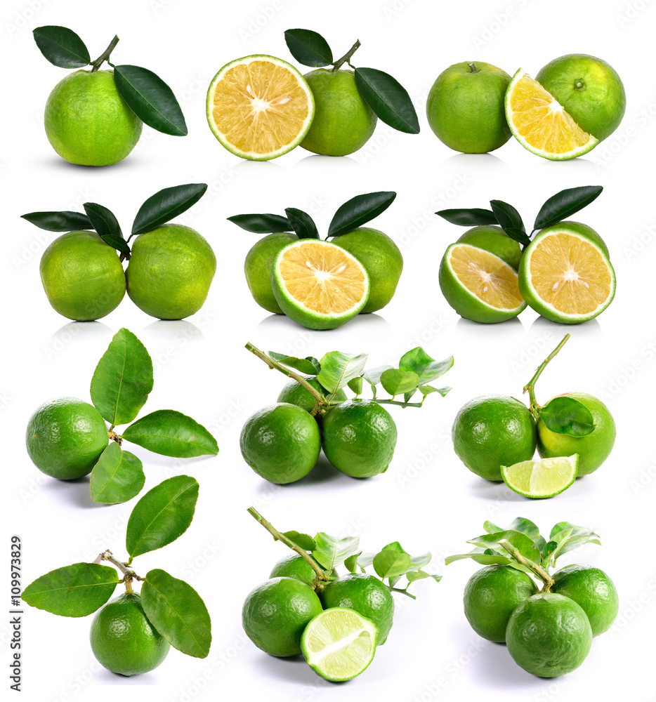 collection of fresh Citrus sinensis and Lime Fresh fruit with l collection of fresh Citrus sinensis and Lime Fresh fruit with l