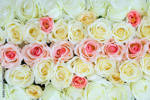 Roses of different colors photo