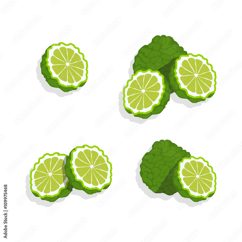 Lime set isolated on white background