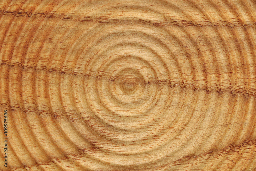 circle patterned wood texture background circle patterned wood texture background