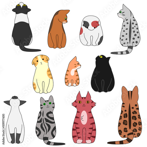 various posing cats set