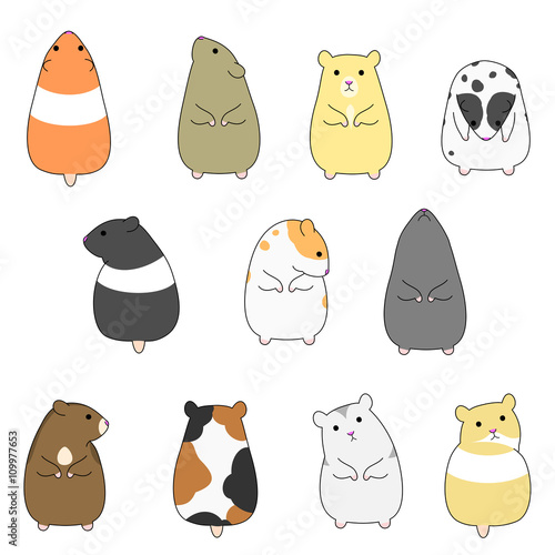colorful hamsters set