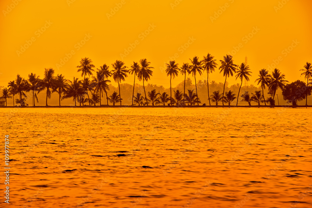 beautiful sunset scene of backwaters Kerala with silhouette of p - obrazy, fototapety, plakaty 