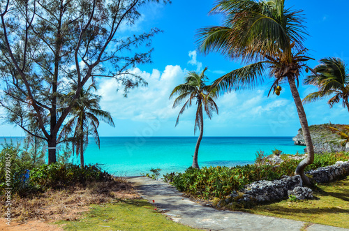 Walking path to a tropical beach on the island Eleuthera on the Bahamas.