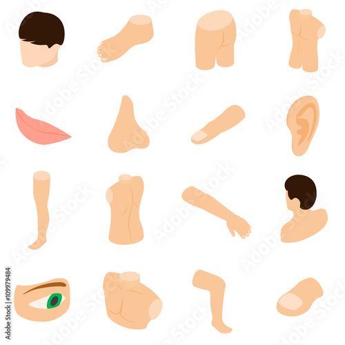 Body parts icons set, isometric 3d style