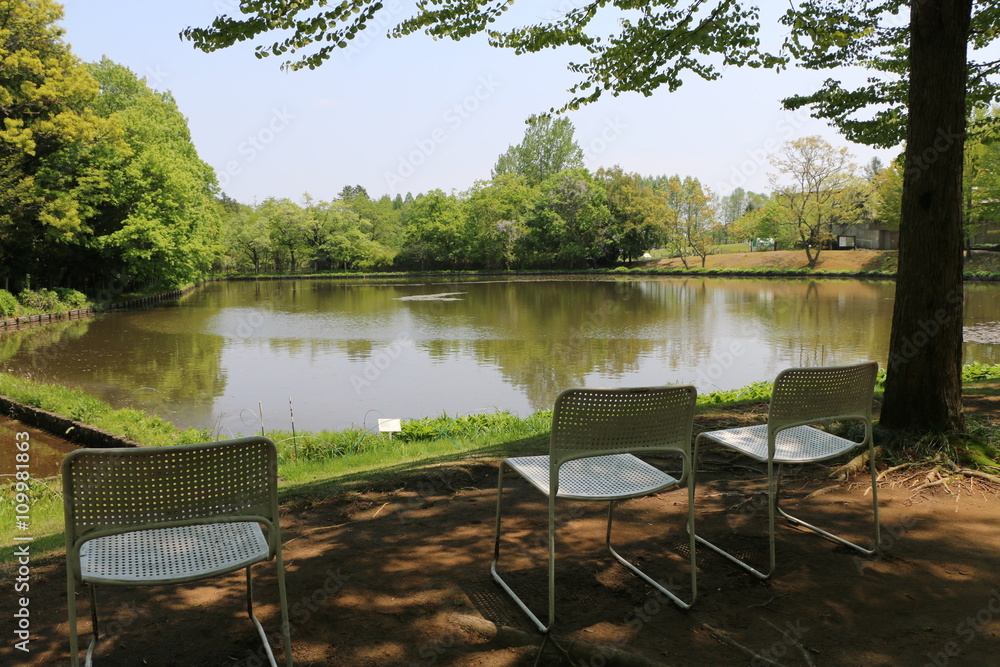 Fototapeta premium 池