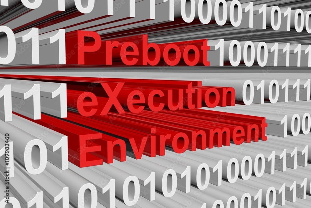 Preboot eXecution Environment in the form of binary code, 3D illustration
