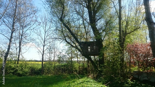 Baumhaus traumhaus die in der Natur photo