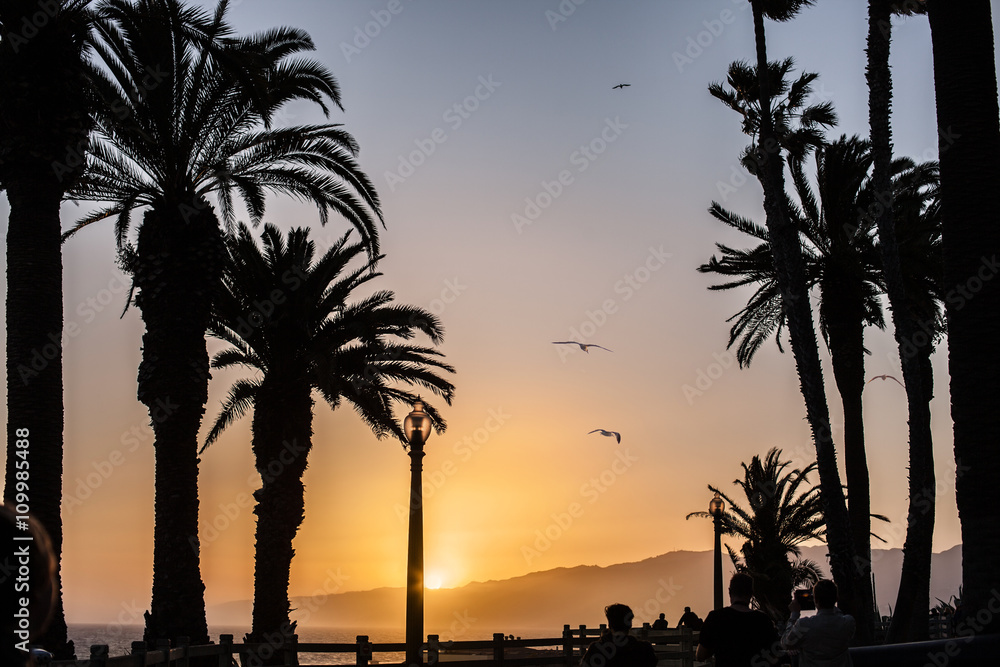 Obraz premium Foggy Sunset at the Ocean