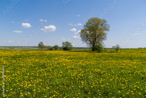 Wiosna na Podlasiu