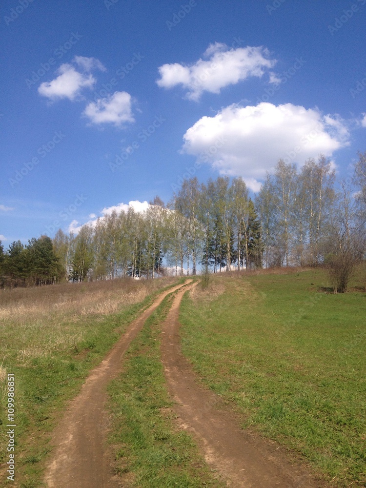 грунтовая дорога в поле весенним солнечным днем