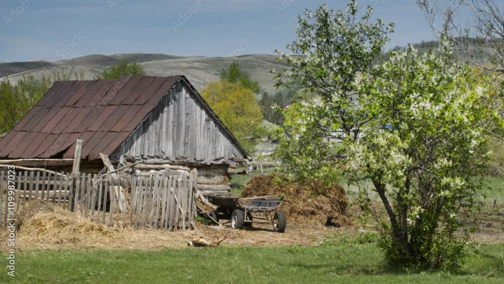 Dog basking in the sun, near an old barn in the countryside Dog basking in the sun, near an old barn in the countryside