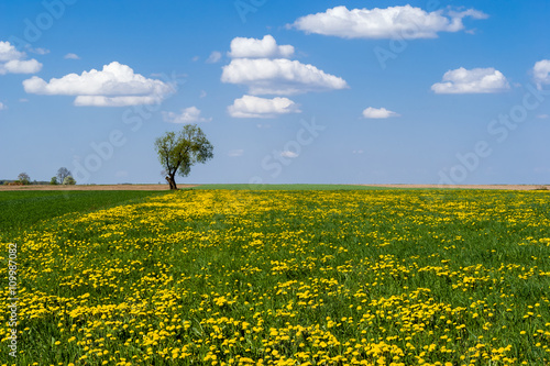 Wiosna na Podlasiu