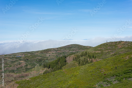 The Highlands of the island La Gomera. In the background, huge clouds from trade winds on the north side. The clouds comes from the Azores in circa 800m altitude