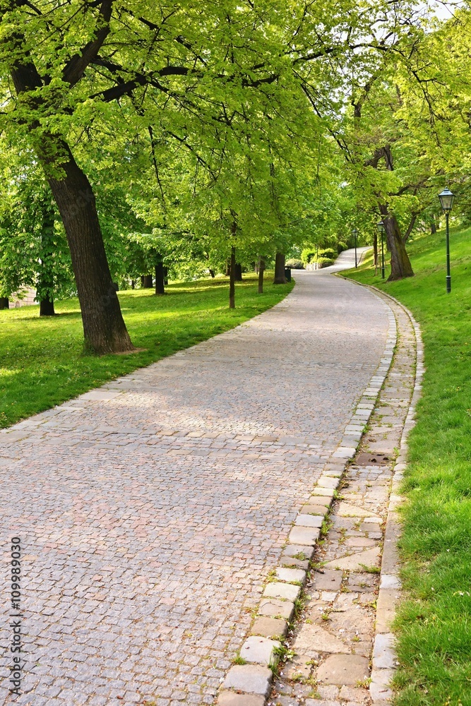 Beautiful green spring park. The path in the park. Beautiful quiet place in the middle of town. Rest and relaxation outdoors. Brno city - Czech republic Spilberk.