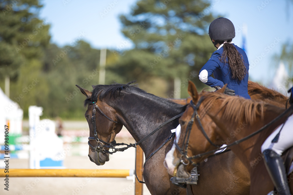 Obraz premium Le cheval et son cavalier