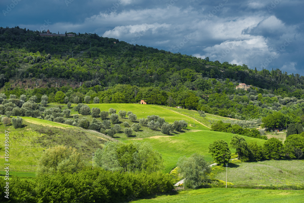 Tuscan spring magical landscape.