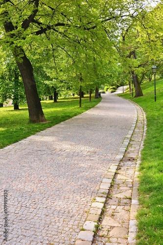 Fototapeta Naklejka Na Ścianę i Meble -  Beautiful green spring park. The path in the park. Beautiful quiet place in the middle of town. Rest and relaxation outdoors. Brno city - Czech republic Spilberk.