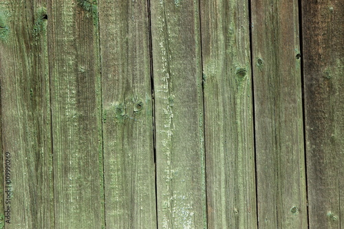 wall of green wood planks