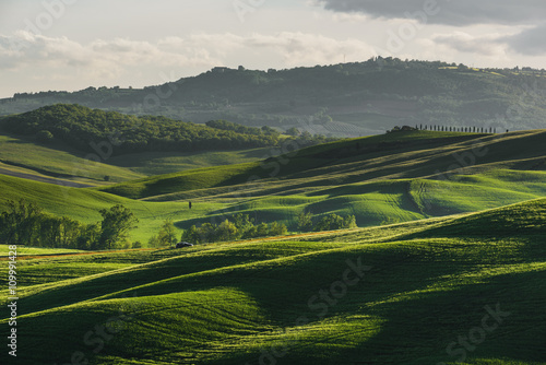 Green landscape in pensive spring season.