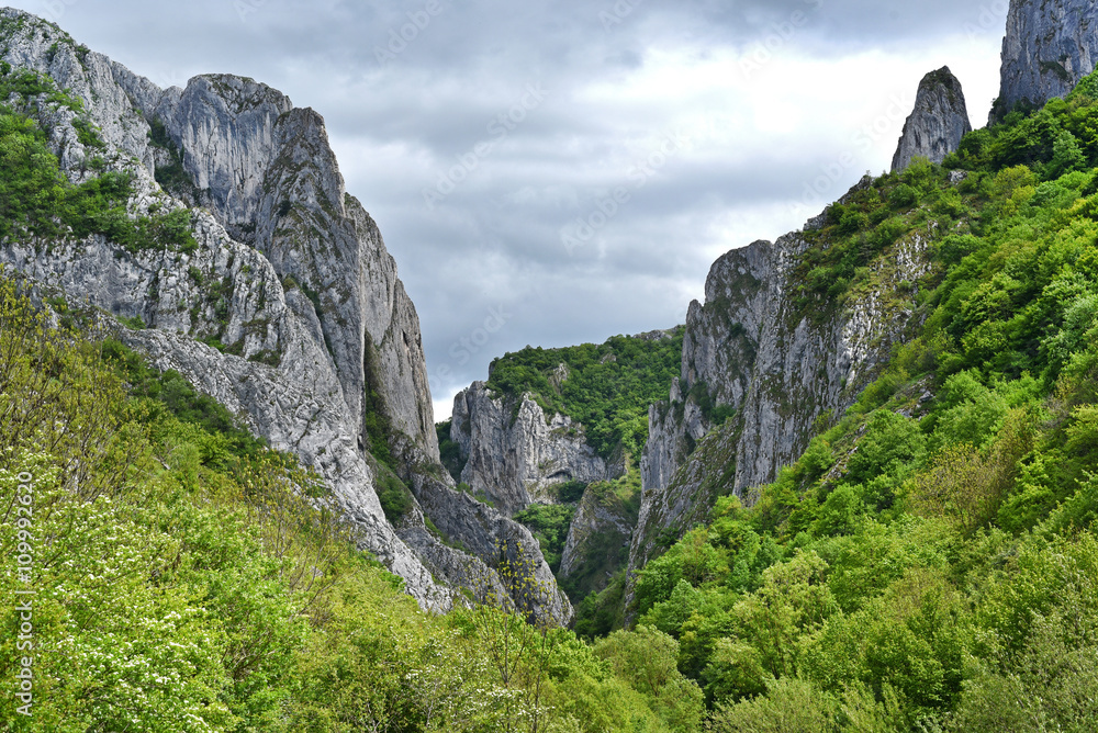 Cheile Turzii gorge, natural reserve, Romania