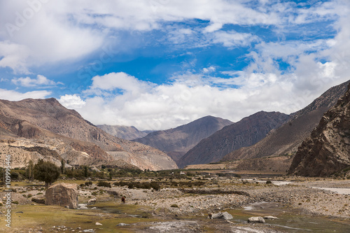 Landscape in Himalayas mountains  Annapurna range  Nepal.