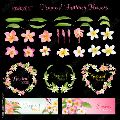 Tropical Flowers and Leaves Set. Exotic Plumeria Flower. Floral Banners