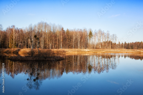 rees are reflected in water early in the morning in the spring