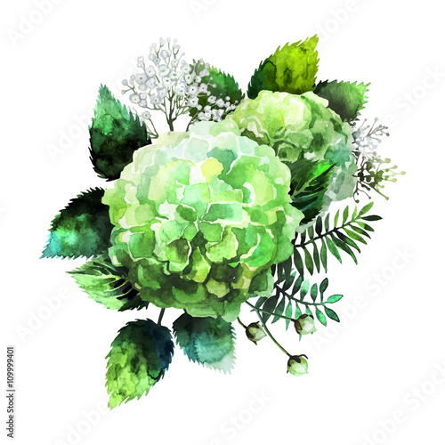 Green watercolor  hydrangea vignette 
