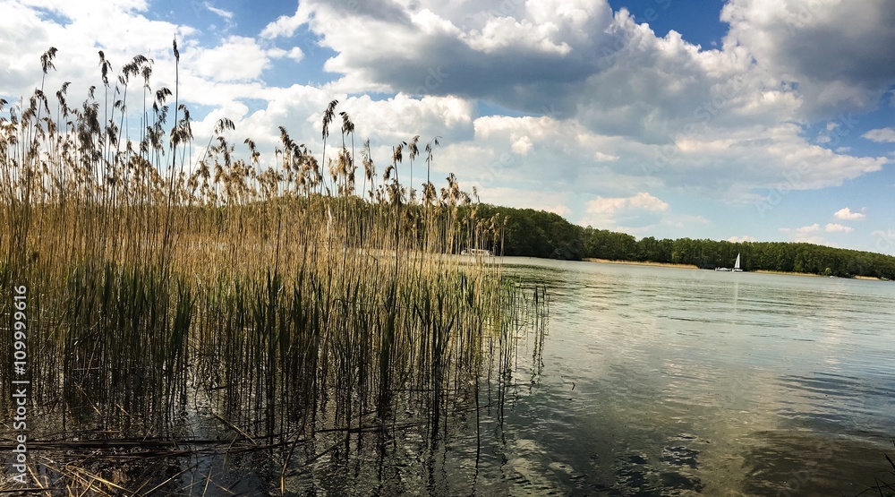 Obraz premium Tataraki nad brzegiem jeziora