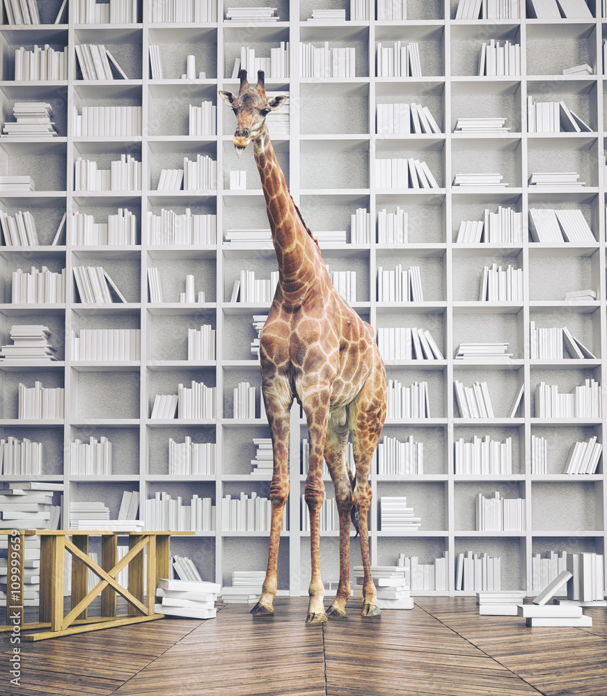 Fototapeta premium giraffe in the room