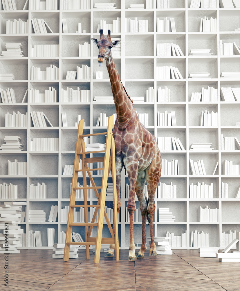 Naklejka premium żyrafa w bibliotece