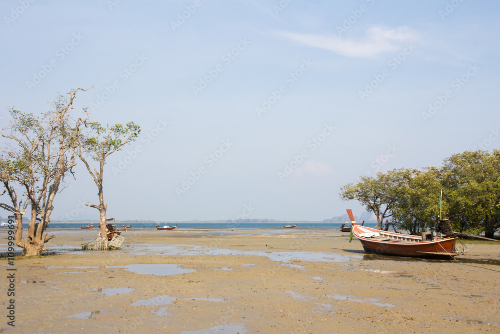 View  On Tropical Sand Beach